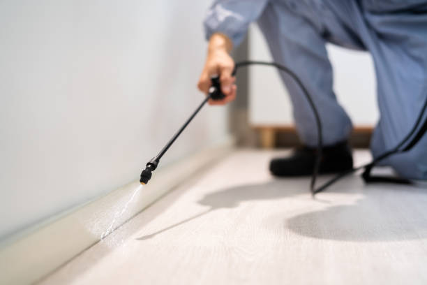 Licensed Pest Control service in Delta Junction, AK - Show Me Pest Control