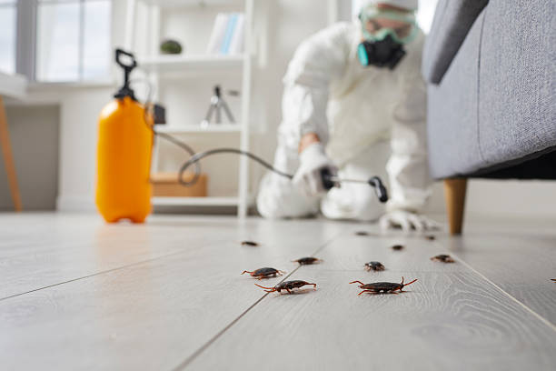 Commercial Kitchen Cockroach Control in Delta Junction